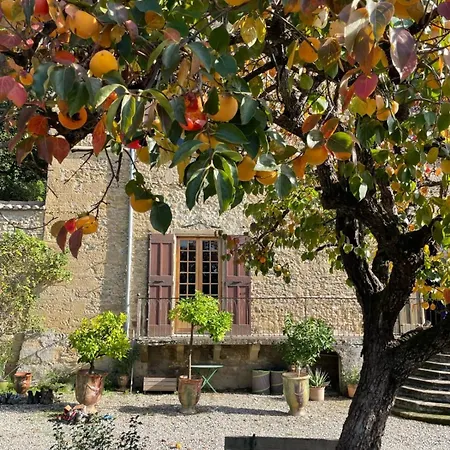 #gn The Fontlozier Castle #gn